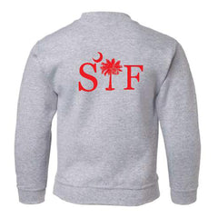 Gray Sweatshirt
