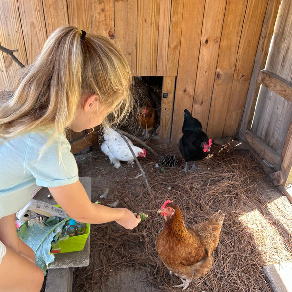 The Farm